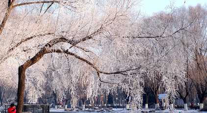 遼寧沈陽:霧凇美景醉游人